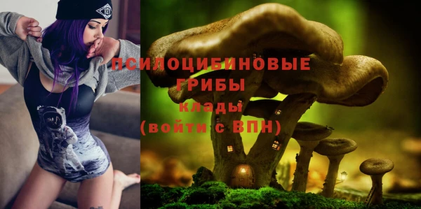 2c-b Новодвинск