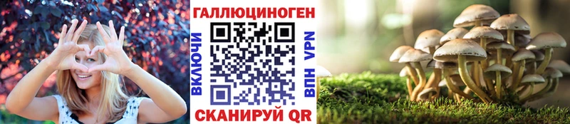 Галлюциногенные грибы GOLDEN TEACHER Новая Усмань